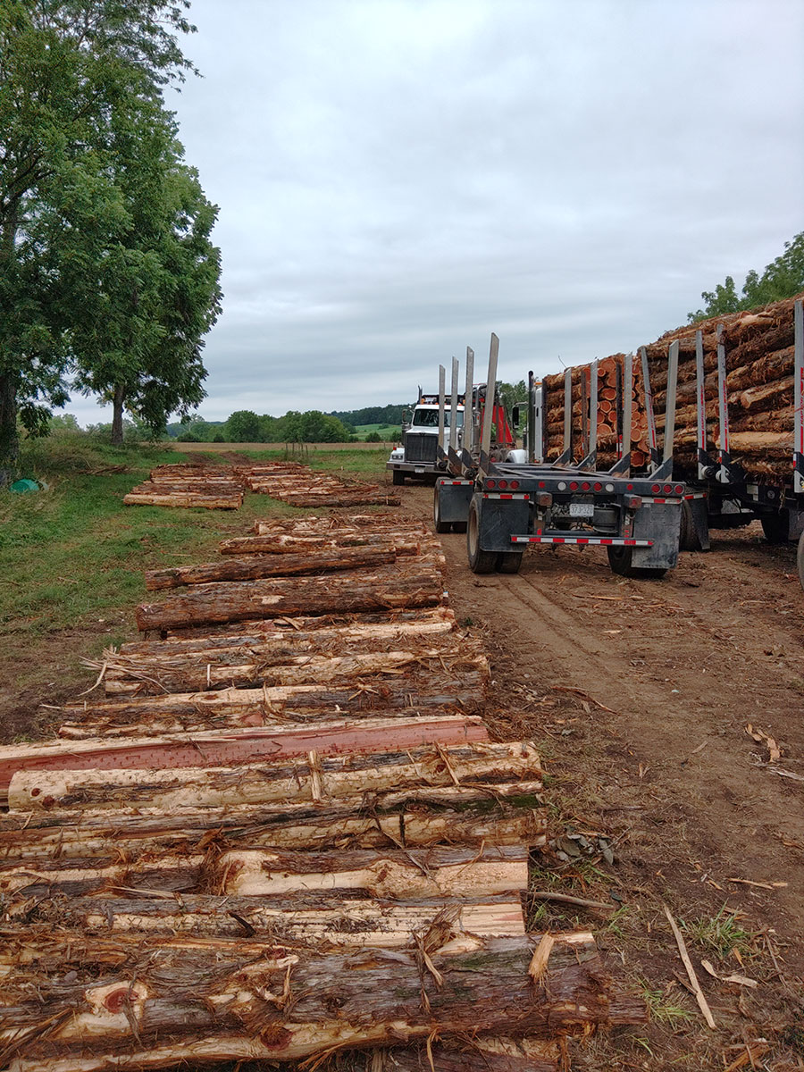 Scaling logs to make sure the load is 100 Big River Timber Co.