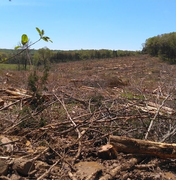 Media & Gallery Big River Timber Co.