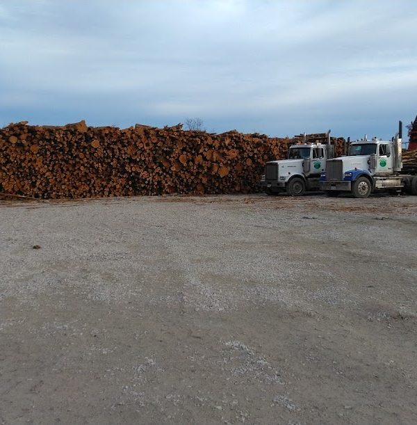 Media & Gallery Big River Timber Co.